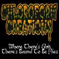 Where There's Shit There's Bound to be Flies